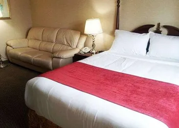 Econo Lodge City Centre hotel thumbnail 6
