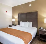 Comfort Inn Bossier City Casino Area near Shreveport Downtown hotel detail image 7