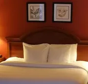 Extended Studio Suite Hotel hotel detail image 5