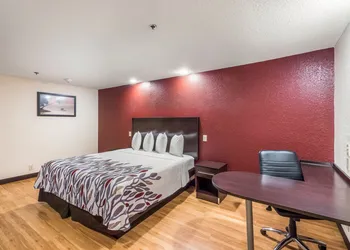 Red Roof Inn Ocala hotel thumbnail 8