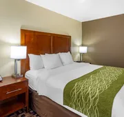 Comfort Inn & Suites North Aurora - Naperville hotel detail image 4