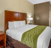 Comfort Inn & Suites North Aurora - Naperville hotel detail image 5