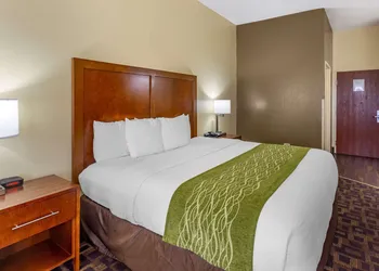 Comfort Inn & Suites North Aurora - Naperville hotel thumbnail 5