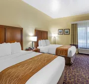 Comfort Inn & Suites North Aurora - Naperville hotel detail image 7