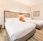 Holiday Inn Express & Suites Columbia-I-26 @ Harbison Blvd by IHG hotel detail image 7