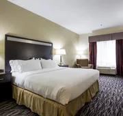 Holiday Inn Express Hotel & Suites Camden-I20 (Hwy 521) by IHG hotel detail image 3