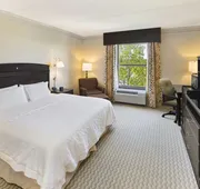 Hampton Inn Columbia I-20-Clemson Road hotel detail image 4