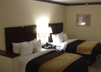 Comfort Inn & Suites Ft. Jackson Maingate hotel thumbnail 5