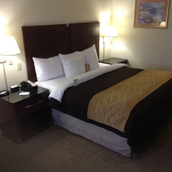 Comfort Inn & Suites Ft. Jackson Maingate hotel detail image 6