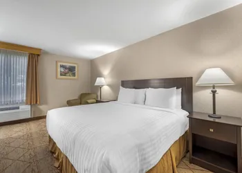 Best Western Manassas hotel thumbnail 7