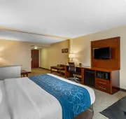 Comfort Suites Manassas Battlefield Park hotel detail image 7
