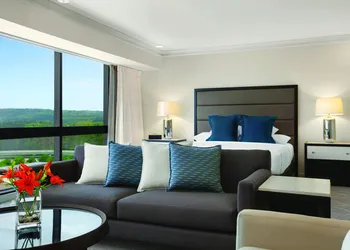 Hyatt Regency Birmingham-The Wynfrey Hotel hotel thumbnail 7