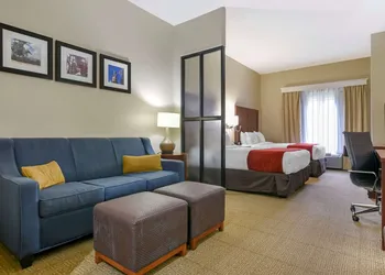 Comfort Suites Fultondale I-65 near I-22 hotel thumbnail 8