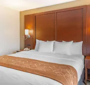 Comfort Suites Lancaster Amish Country hotel detail image 7