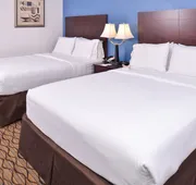 Holiday Inn Express & Suites Central Omaha by IHG hotel detail image 4