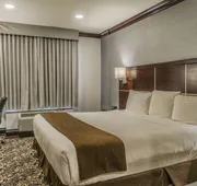 Woodbine Hotel and Suites hotel detail image 7