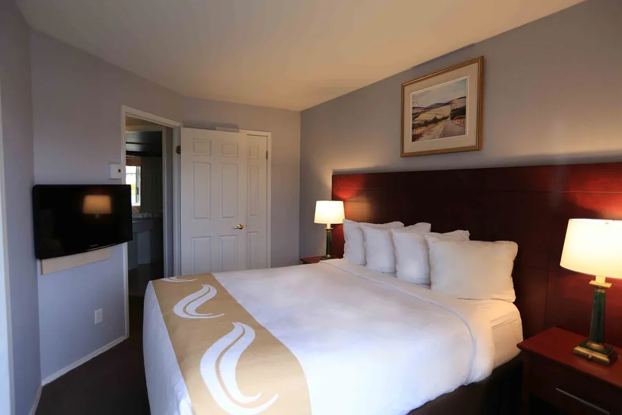 Quality Suites hotel detail image 6