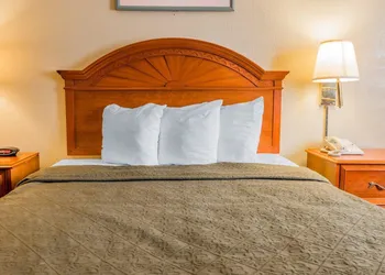 Quality Inn Grand Rapids North hotel thumbnail 8