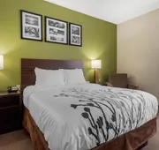 Sleep Inn & Suites Allendale hotel detail image 7