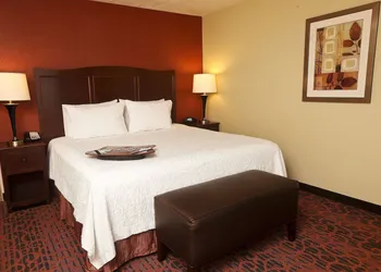 Hampton Inn & Suites by Hilton Fargo Medical Center hotel thumbnail 7