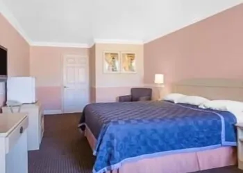 Super 8 by Wyndham Hayward Downtown hotel thumbnail 7