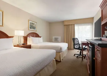 Days Inn by Wyndham London hotel thumbnail 6