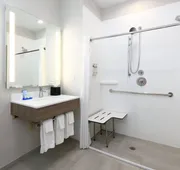 Holiday Inn Express & Suites North Dallas at Preston by IHG hotel detail image 3