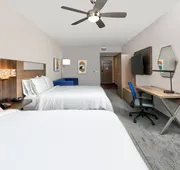 Holiday Inn Express & Suites North Dallas at Preston by IHG hotel detail image 4