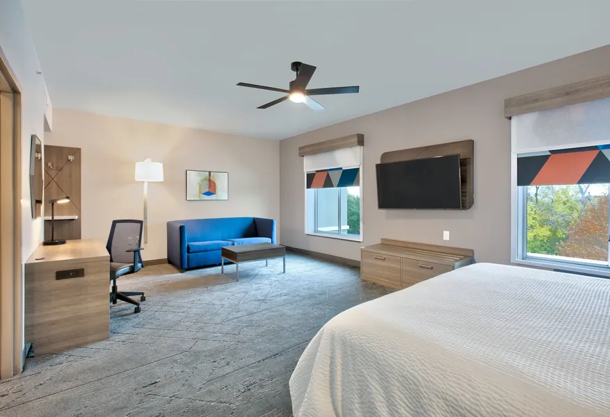 Holiday Inn Express & Suites North Dallas at Preston by IHG hotel detail image 6