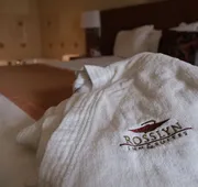 Rosslyn Inn and Suites hotel detail image 5
