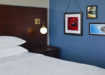 Four Points by Sheraton Tallahassee Downtown hotel thumbnail 6