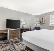 Best Western Wakulla Inn & Suites hotel detail image 4