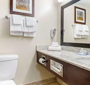 Quality Inn Airport hotel detail image 3