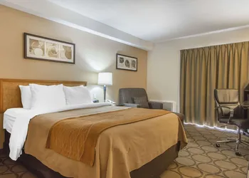 Comfort Inn Moncton Magnetic Hill hotel thumbnail 6