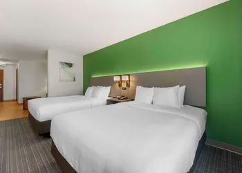 Comfort Suites Conference Center Rapid City hotel thumbnail 6