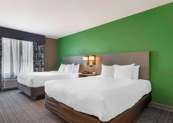 Comfort Suites Conference Center Rapid City hotel thumbnail 8
