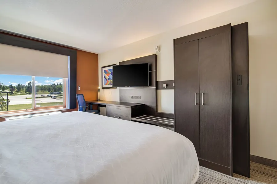 Holiday Inn Express Hotel & Suites Custer by IHG hotel detail image 6