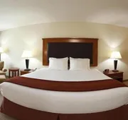 Holiday Inn Express & Suites Albany Airport Area - Latham by IHG hotel detail image 7