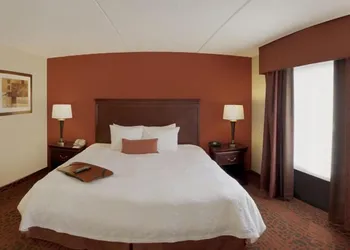 Hampton Inn Rochester Webster hotel thumbnail 4