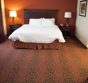 Hampton Inn Rochester Webster hotel detail image 5