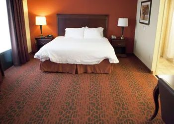Hampton Inn Rochester Webster hotel thumbnail 5