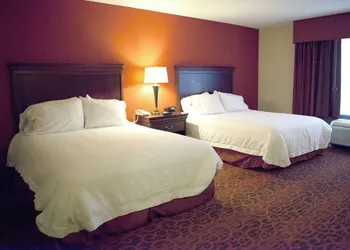 Hampton Inn Rochester Webster hotel thumbnail 6