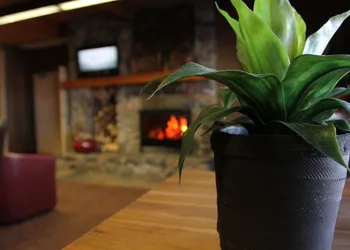 C'mon Inn Hotel & Suites hotel thumbnail 3