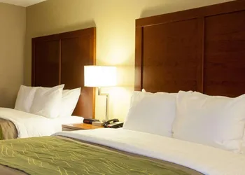 Quality Inn & Suites I-40 East hotel thumbnail 5