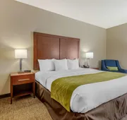 Comfort Inn Lenoir City-Knoxville hotel detail image 5