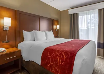 Comfort Suites Knoxville North hotel thumbnail 8