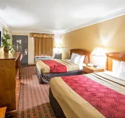 Econo Lodge Knoxville North hotel detail image 3