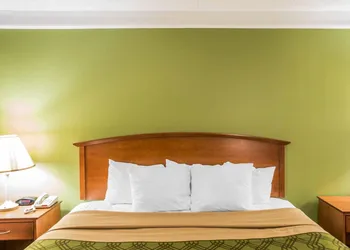 Econo Lodge Knoxville North hotel thumbnail 7
