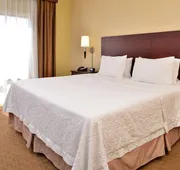 Hampton Inn Staunton hotel detail image 3