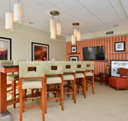 Hampton Inn Farmville, VA hotel detail image 4